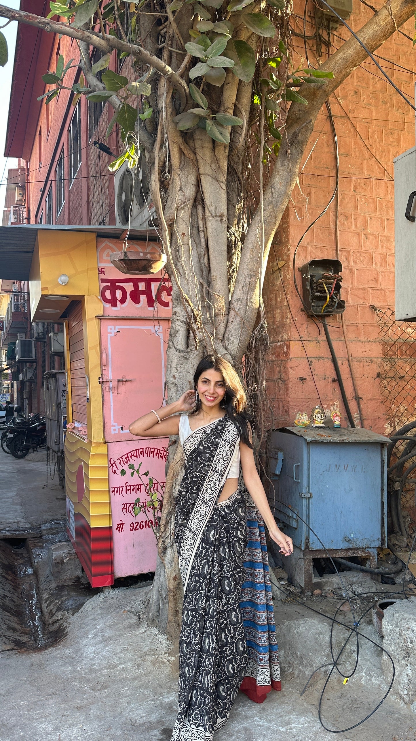 Raina - A Night of Elegance and Mystery - Handblock Print Natural Dyed - Mulmul Cotton Saree