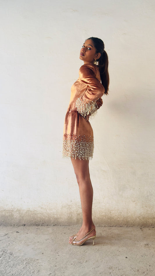 Pearl Drop Light Brown Hand Embroidered Velvet Cocktail Dress
