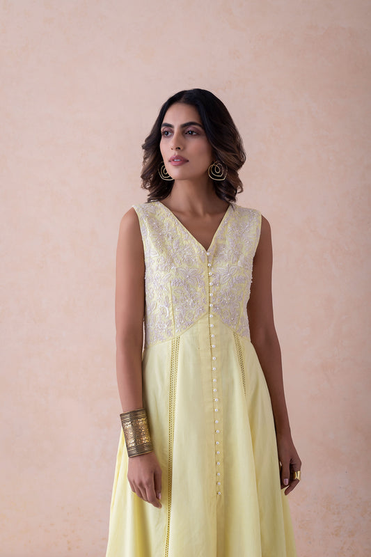 Siya Elegance Dress dori work and hand embroidery.