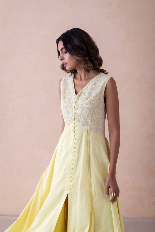 Siya Elegance Dress dori work and hand embroidery.