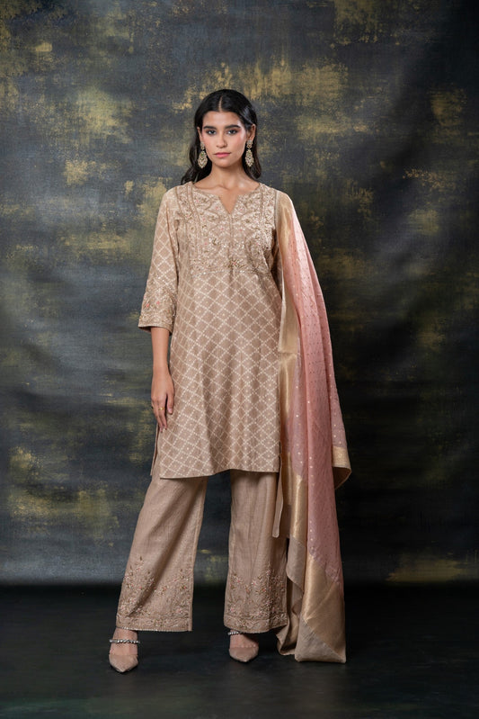 Nude brown sequins and zari embellished soft silk suit set