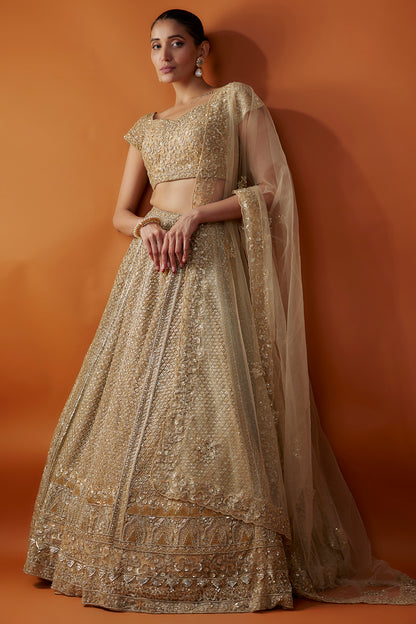 Gold Organza Cutdana & Sequins Hand Embroidered Lehenga Set