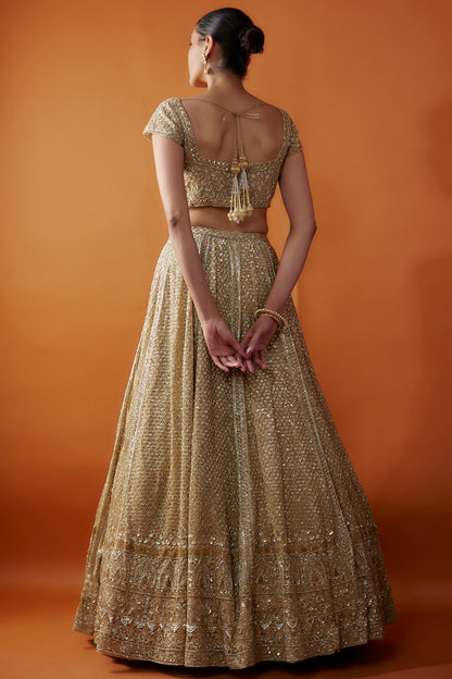 Gold Organza Cutdana & Sequins Hand Embroidered Lehenga Set