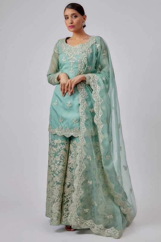 blue organza embroidered sharara set