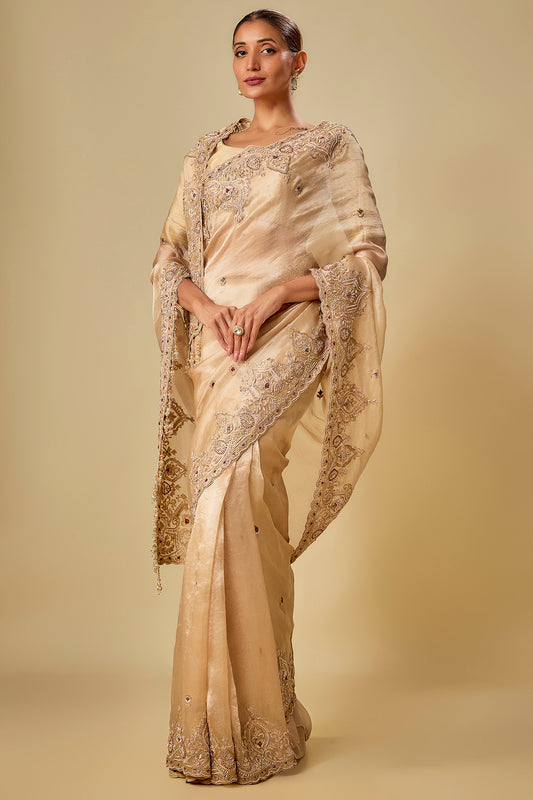 gold tissue hand & machine embroidered saree set
