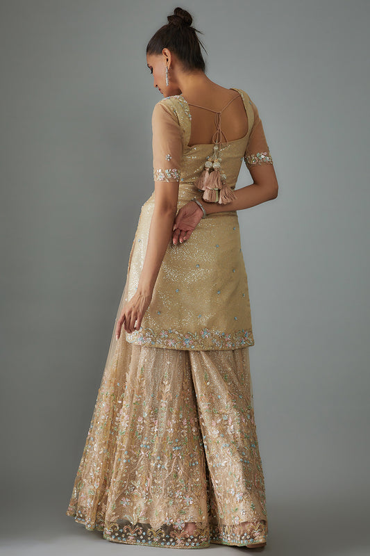 gold net embroidered sharara set