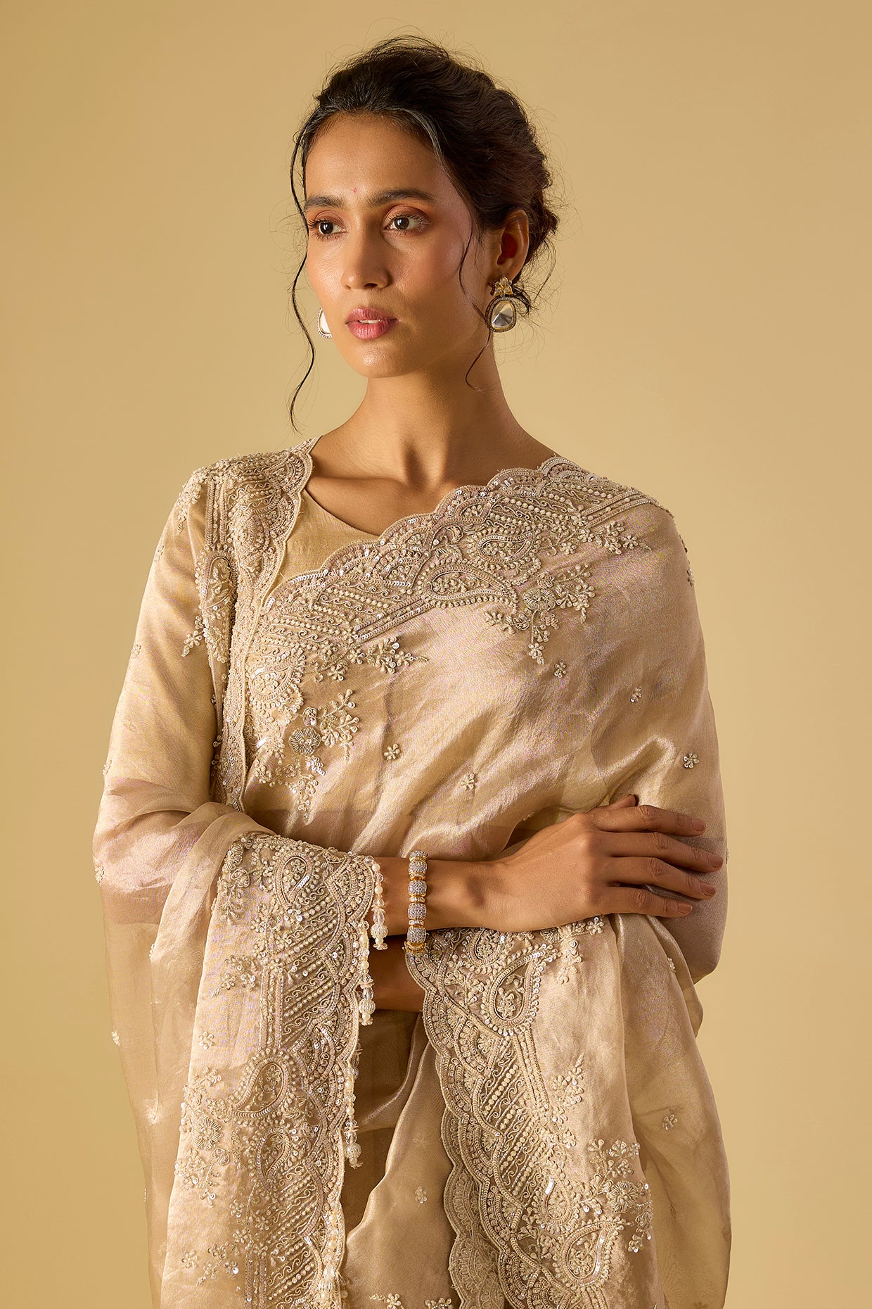 gold tissue hand & machine embroidered saree