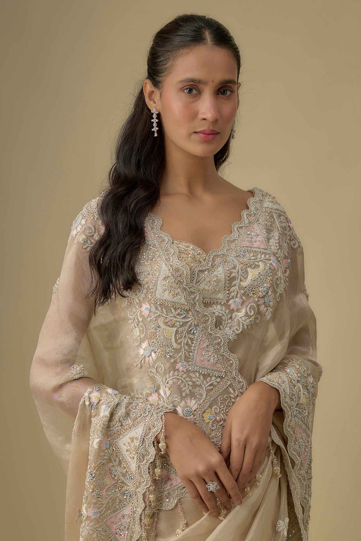 gold tissue hand & machine embroidered saree set