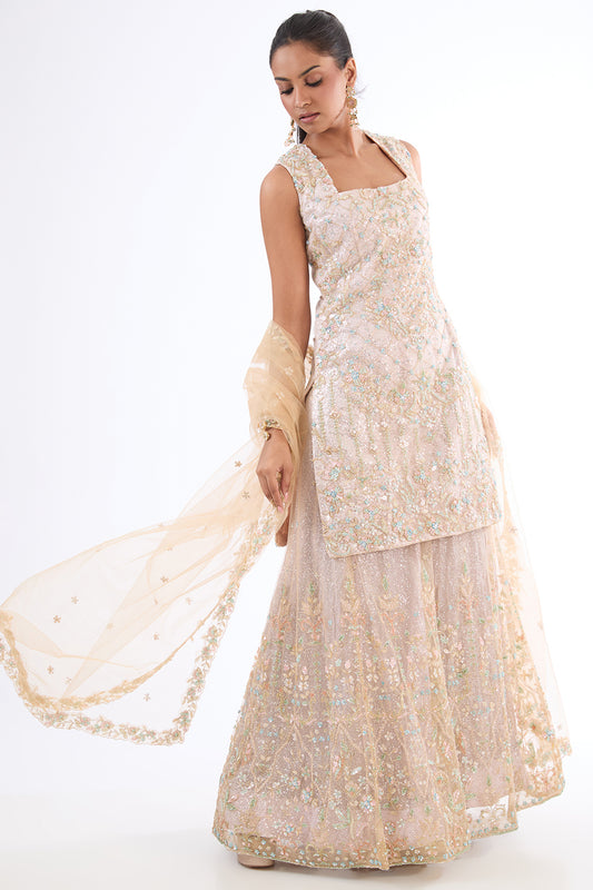 baby pink chanderi hand & machine embroidered sharara set