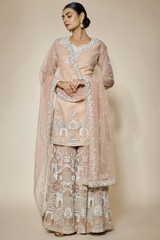 peach organza hand & machine embroidered sharara set