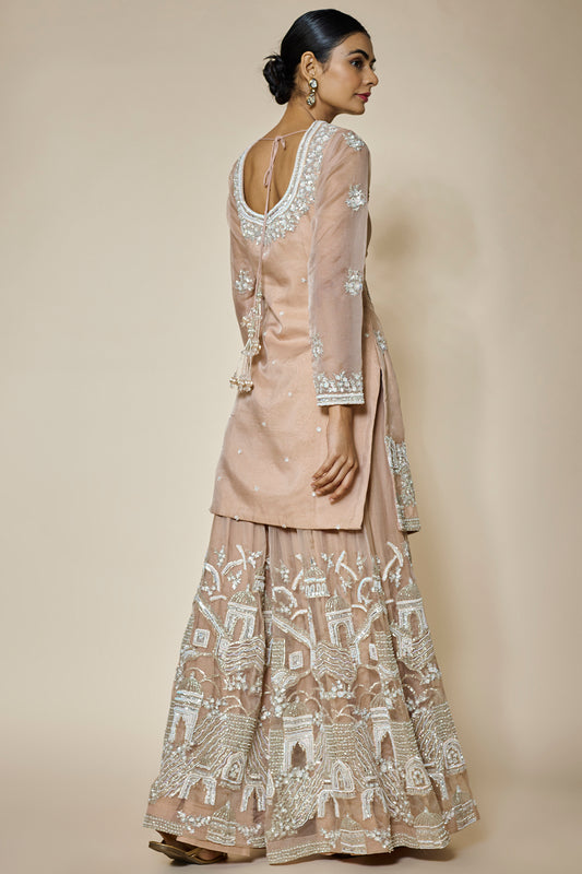 peach organza hand & machine embroidered sharara set