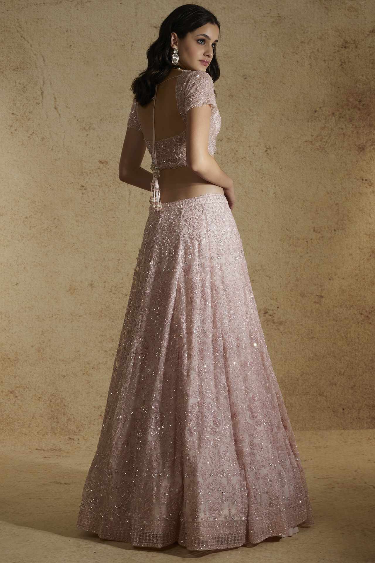mauve net embellished gown