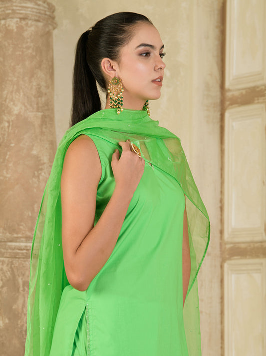 Green Sequins Embroidered Farsi Salwar Kurta Set ( set of 3 )