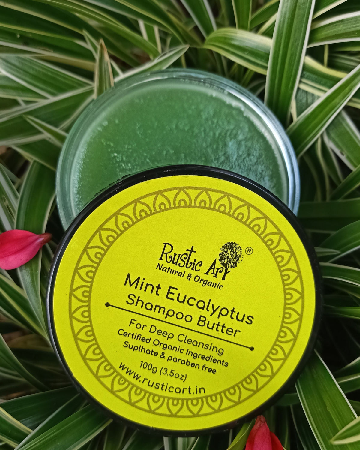 Mint Eucalyptus Shampoo Butter (100gm)| Oily to Normal Hair | Mild Dandruff Prone Scalp |, Rustic Art