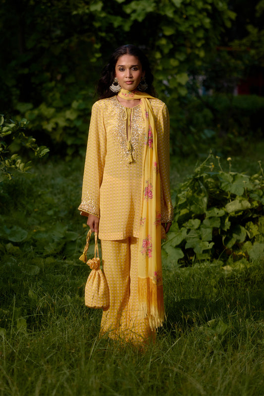 Dilruba Yellow Kurta