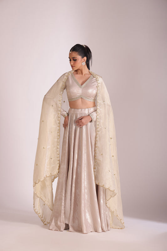 Jhalak Beige Embroidered Crepe Lehenga And Dupatta