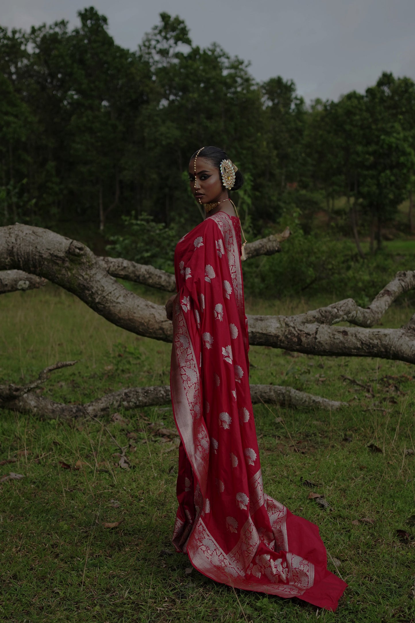 Ranangana saree I Red Katan Silk Banarasi Handloom Saree