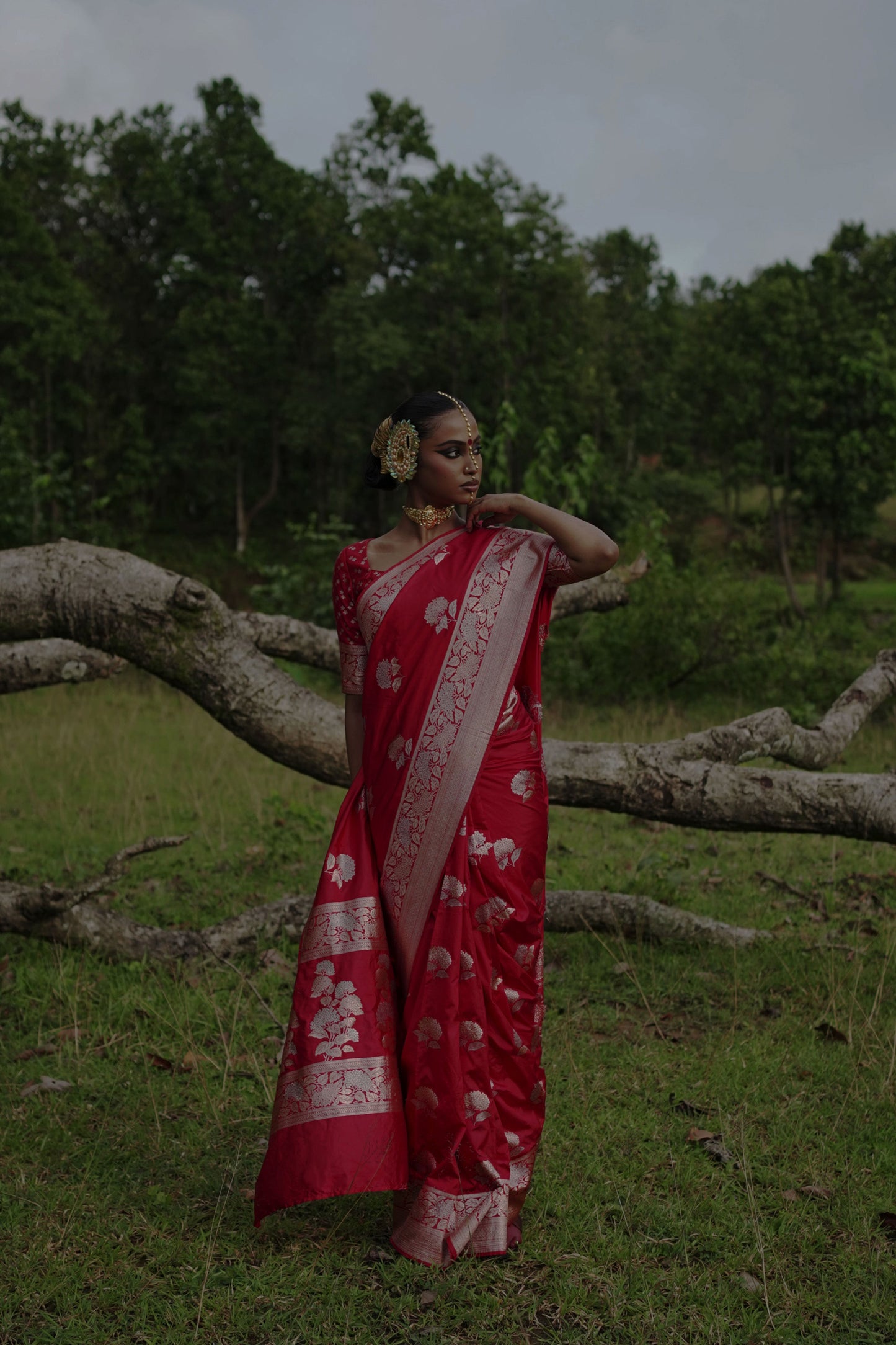 Ranangana saree I Red Katan Silk Banarasi Handloom Saree