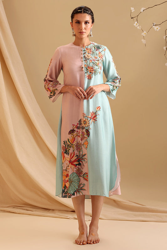 Aarani Embellished Colour Block Dress