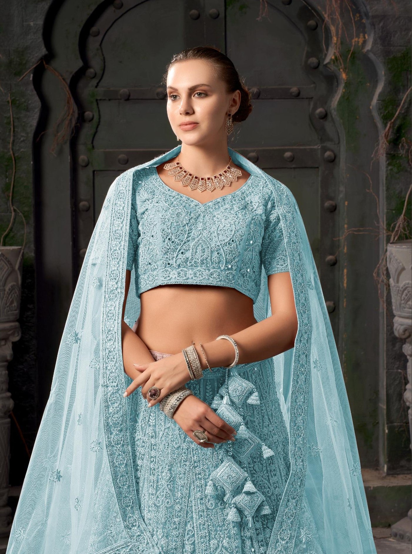 Sky Blue Zarkan Embroidery Net Party Wear Lehenga