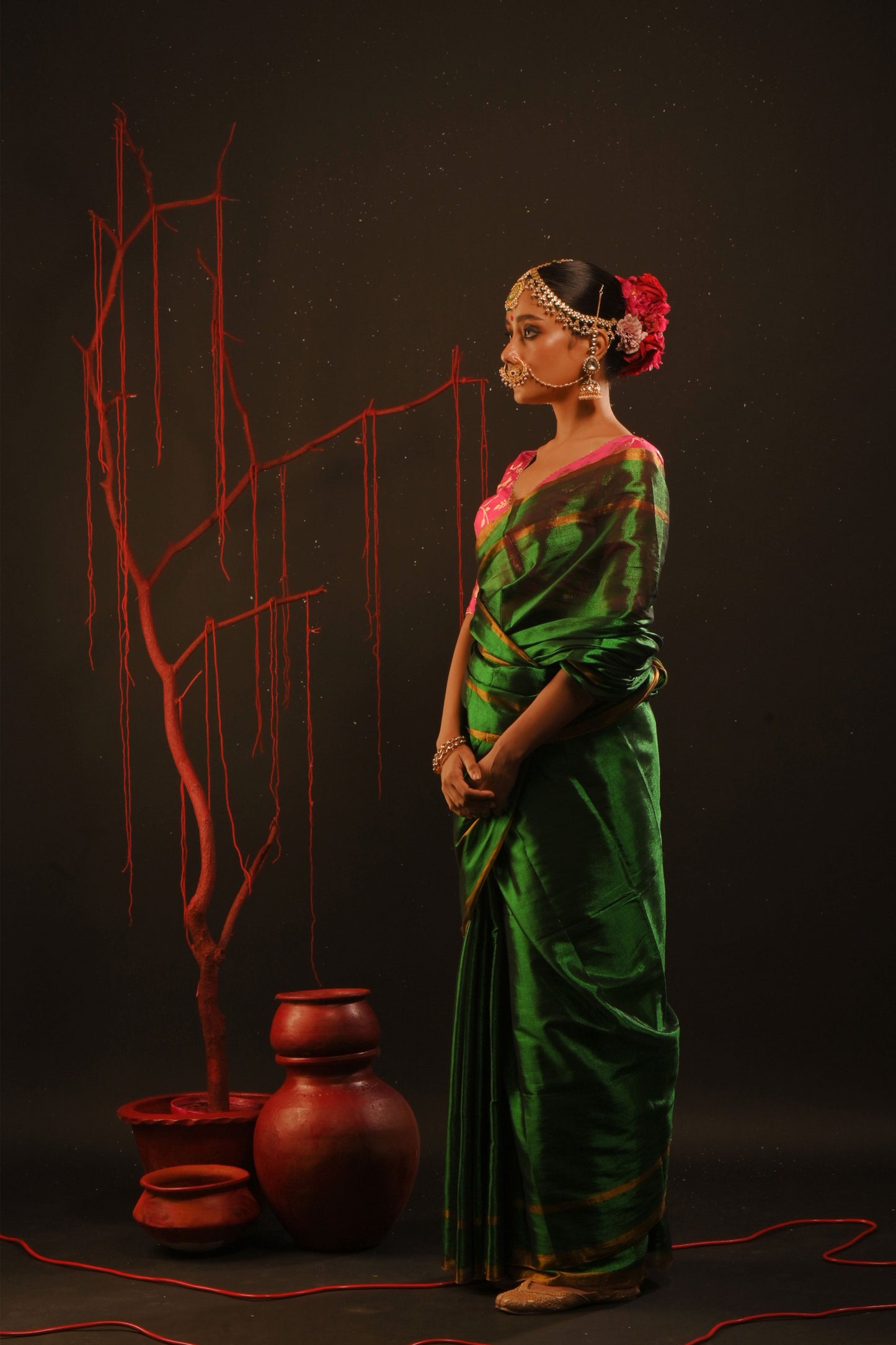 Chitrani saree I Green Handloom Tissue Saree