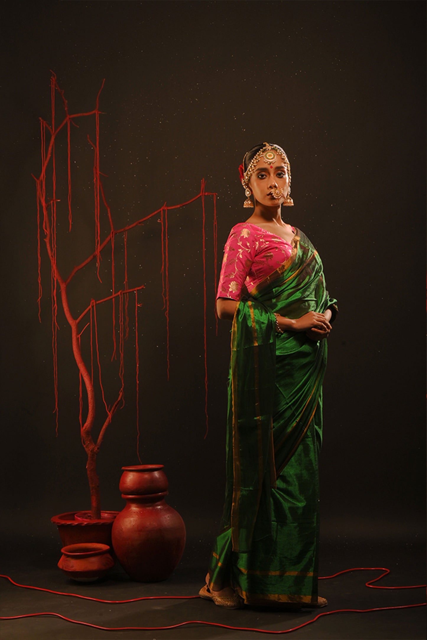 Chitrani saree I Green Handloom Tissue Saree