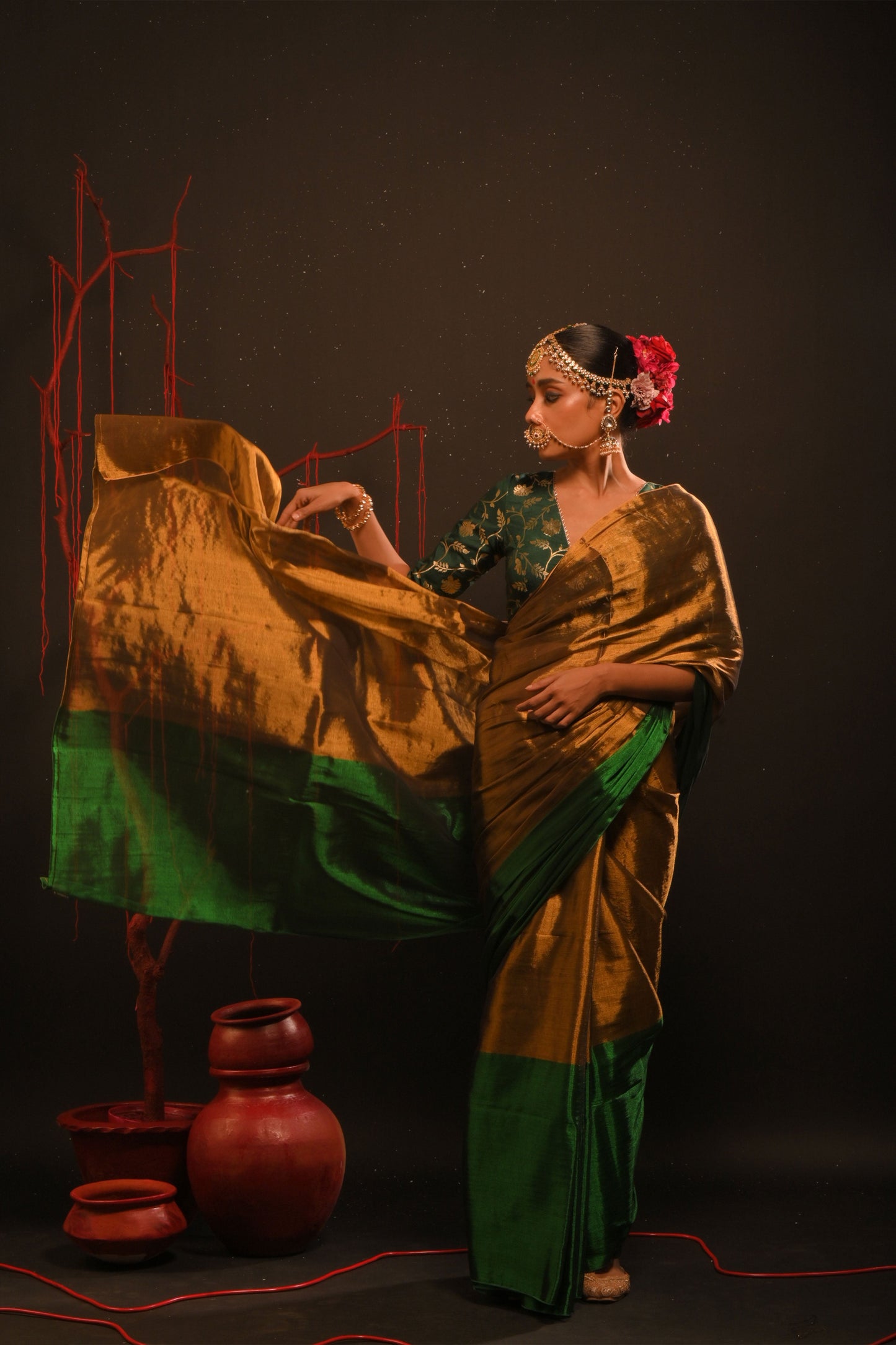 Jaishree saree I Gold Handloom Tissue Saree
