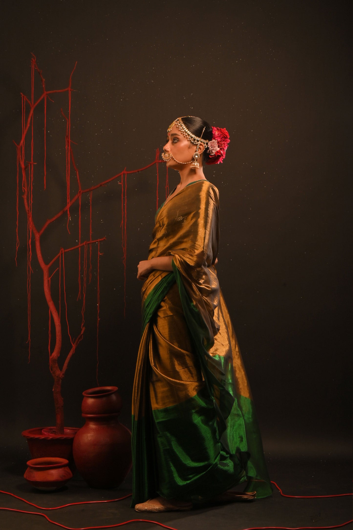 Jaishree saree I Gold Handloom Tissue Saree