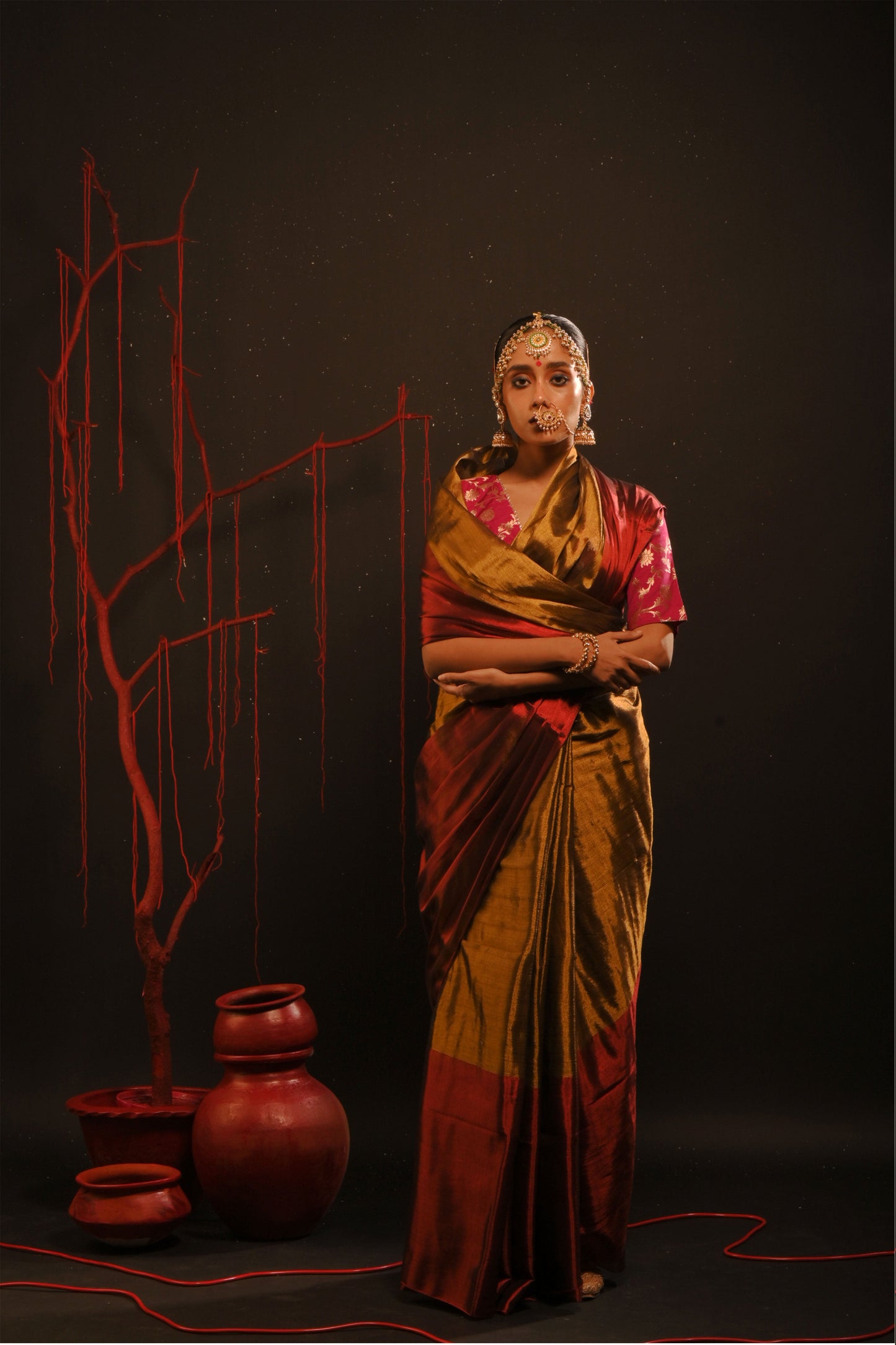 Yagnika saree I Gold Handloom Tissue Saree