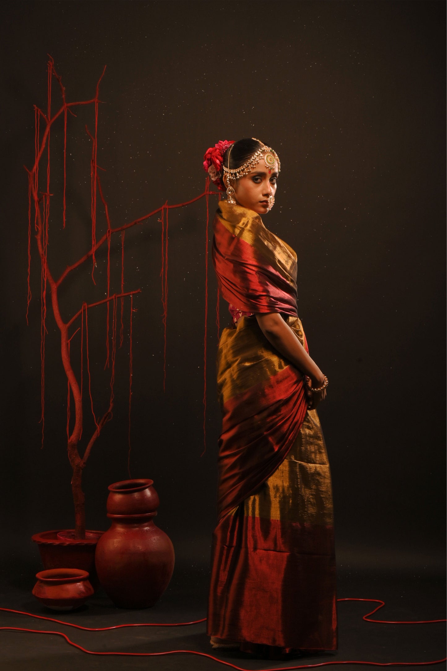 Yagnika saree I Gold Handloom Tissue Saree