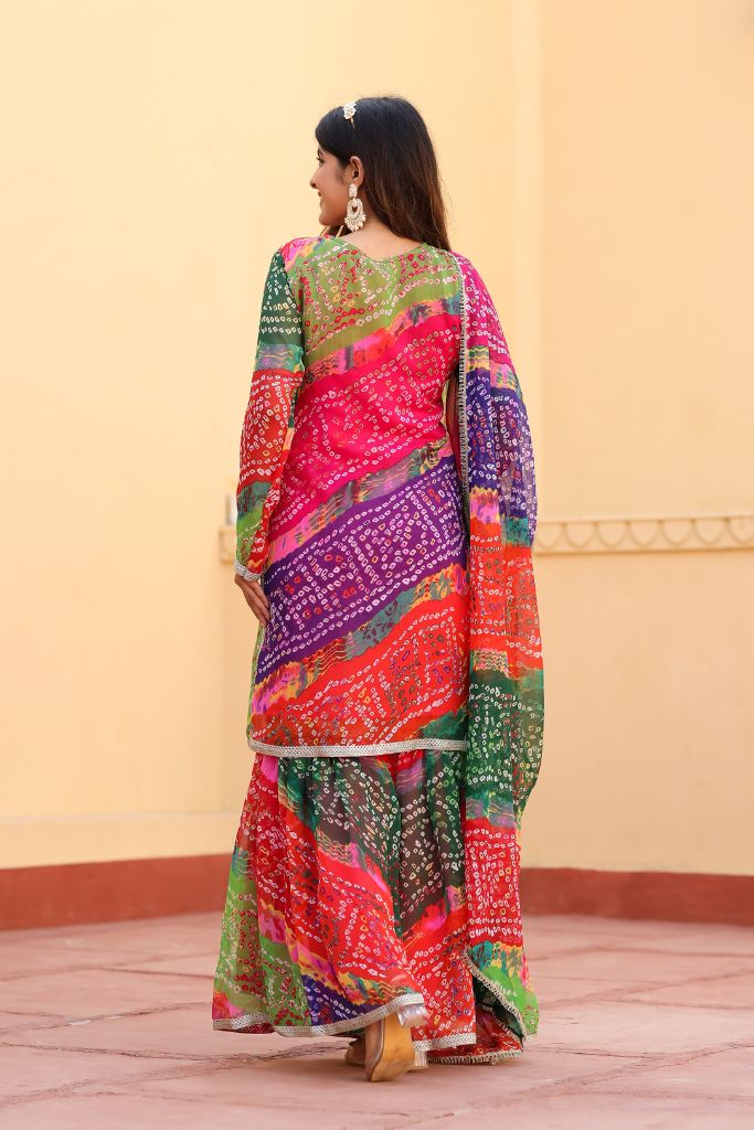 Sahiba Multi Color Chiffon Gota Work Festive Sharara Set