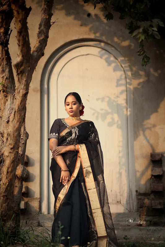 Handloom Black Chanderi Pure Silk Saree With Gold Zari Motifs