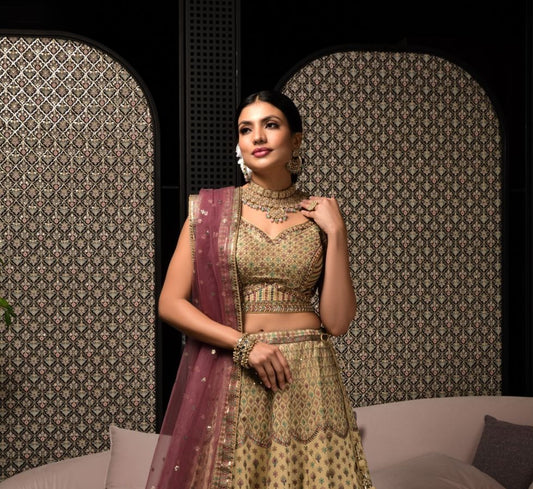 Light Brown Color Sequence Embroidery Georgette Lehenga