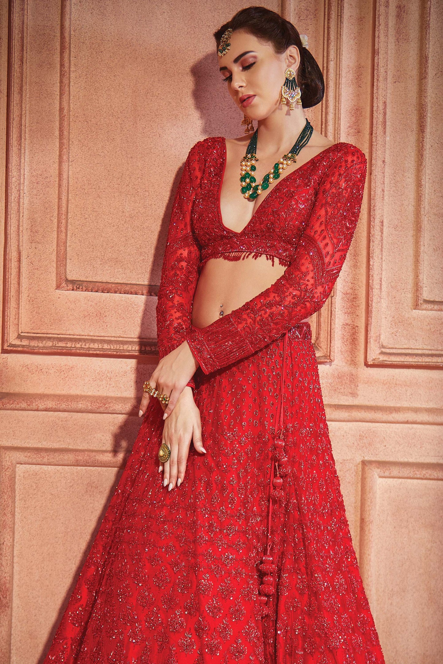 Kalaa Red Net Hand Embroidered  Bridal Lehenga