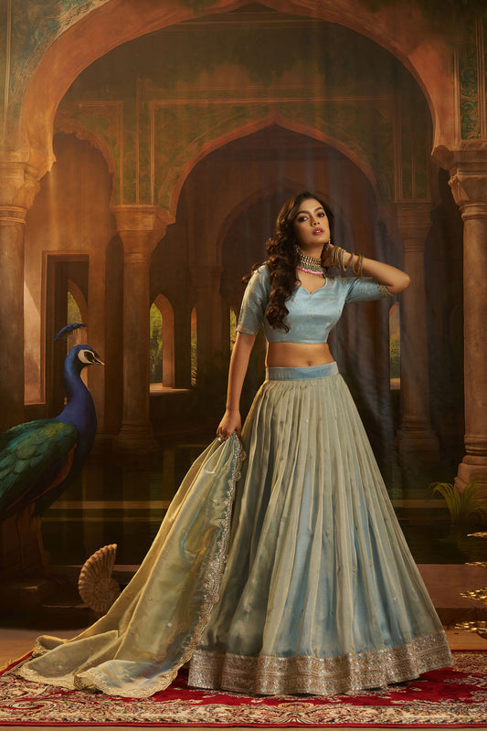 Sky Blue Organza Zari & Dori Embroidered Bridesmaid Lehenga