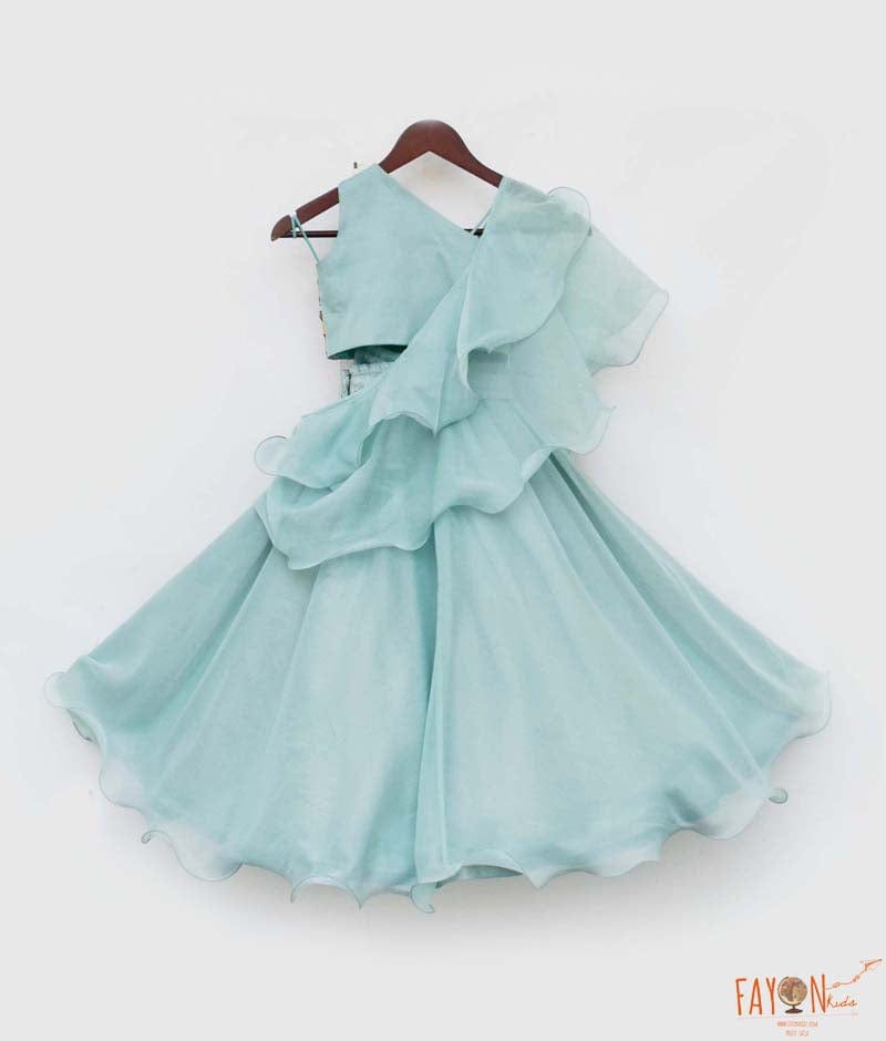 Blue Organza Lehenga Embroidery Choli Organza Dupatta for Girls