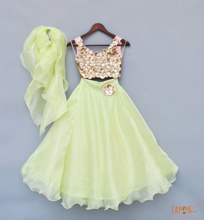 Green Organza Lehenga with 3D Flowers Choli Organza Dupatta for Girls