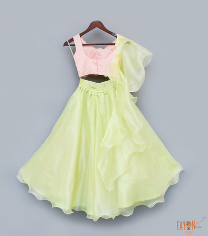 Green Organza Lehenga with 3D Flowers Choli Organza Dupatta for Girls