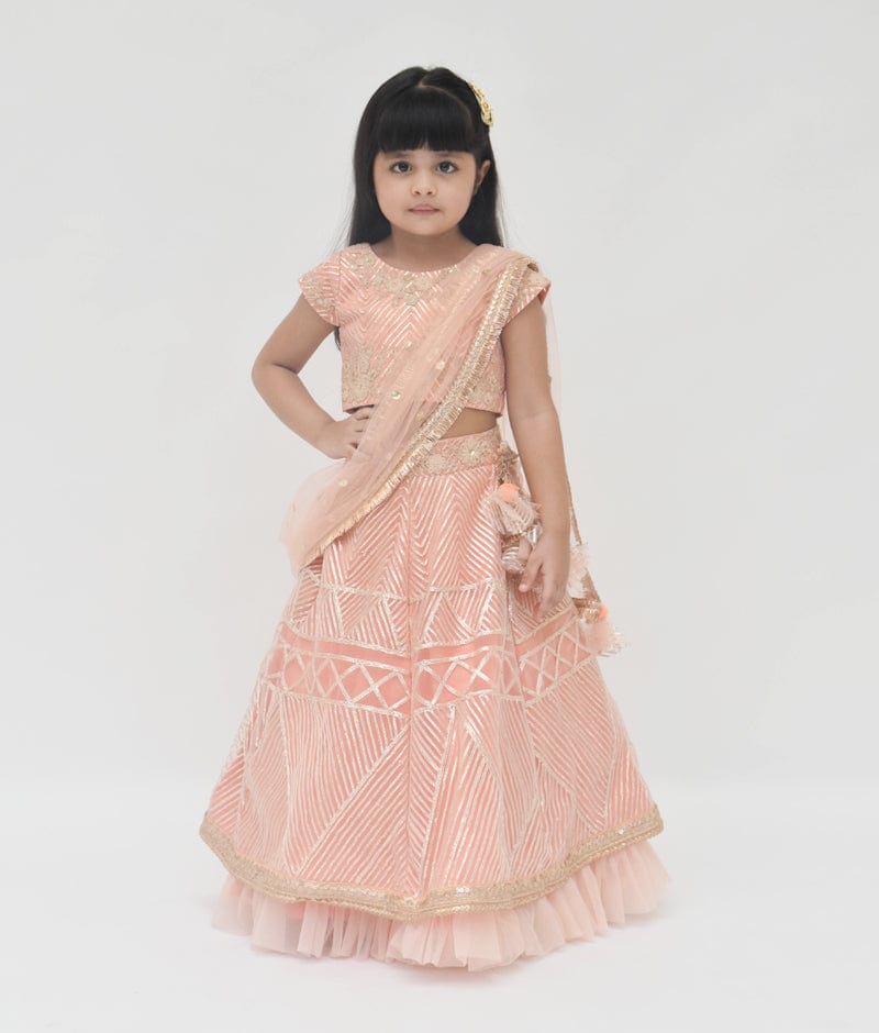 Peach Gota Embroidery Lehenga with Choli Boti Net Dupatta for Girls