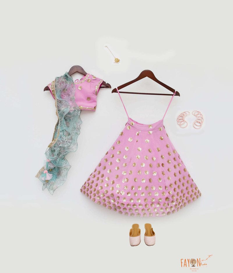 Pink Sequence Choli with Lehenga Printed Organza Dupatta for Girls