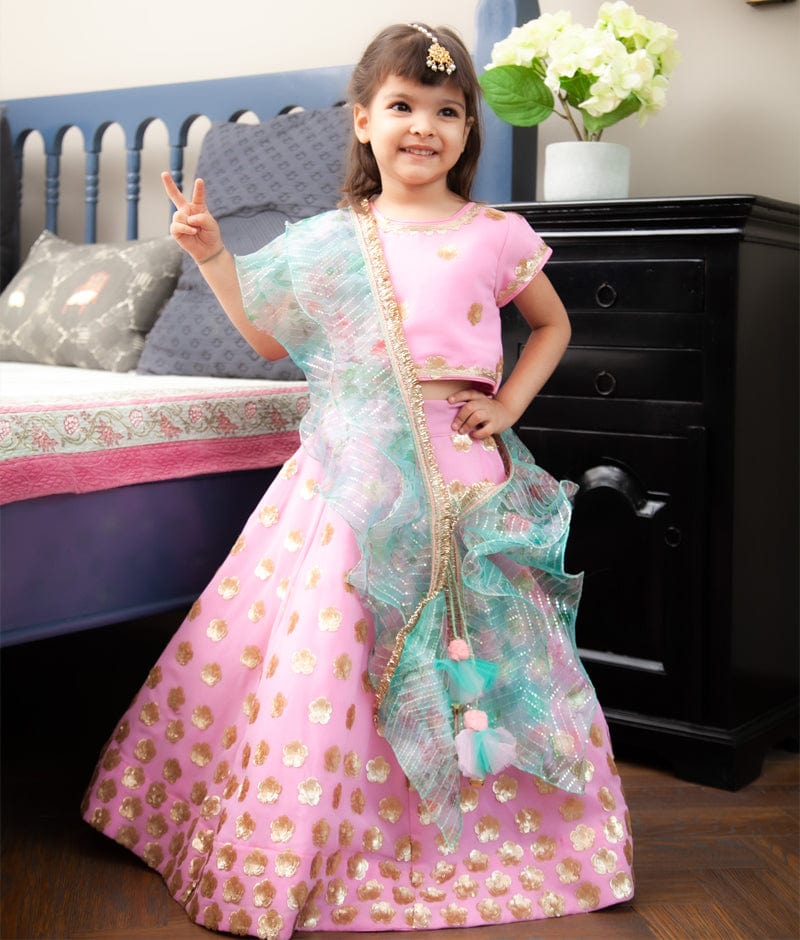Pink Sequence Choli with Lehenga Printed Organza Dupatta for Girls