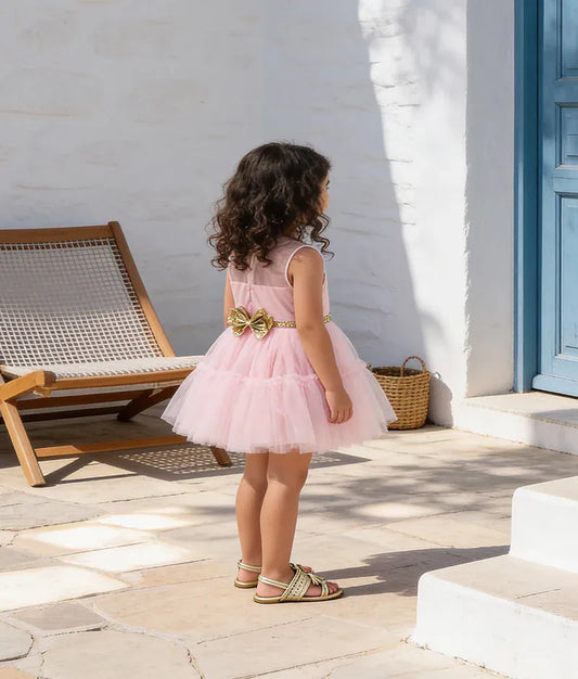 Luxe Pink Net Frock for Girls