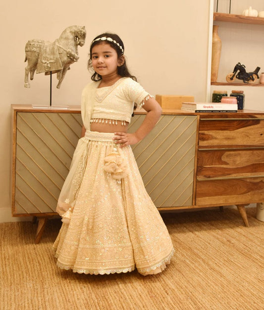 Dreamy Threads: Beige Lehenga Set