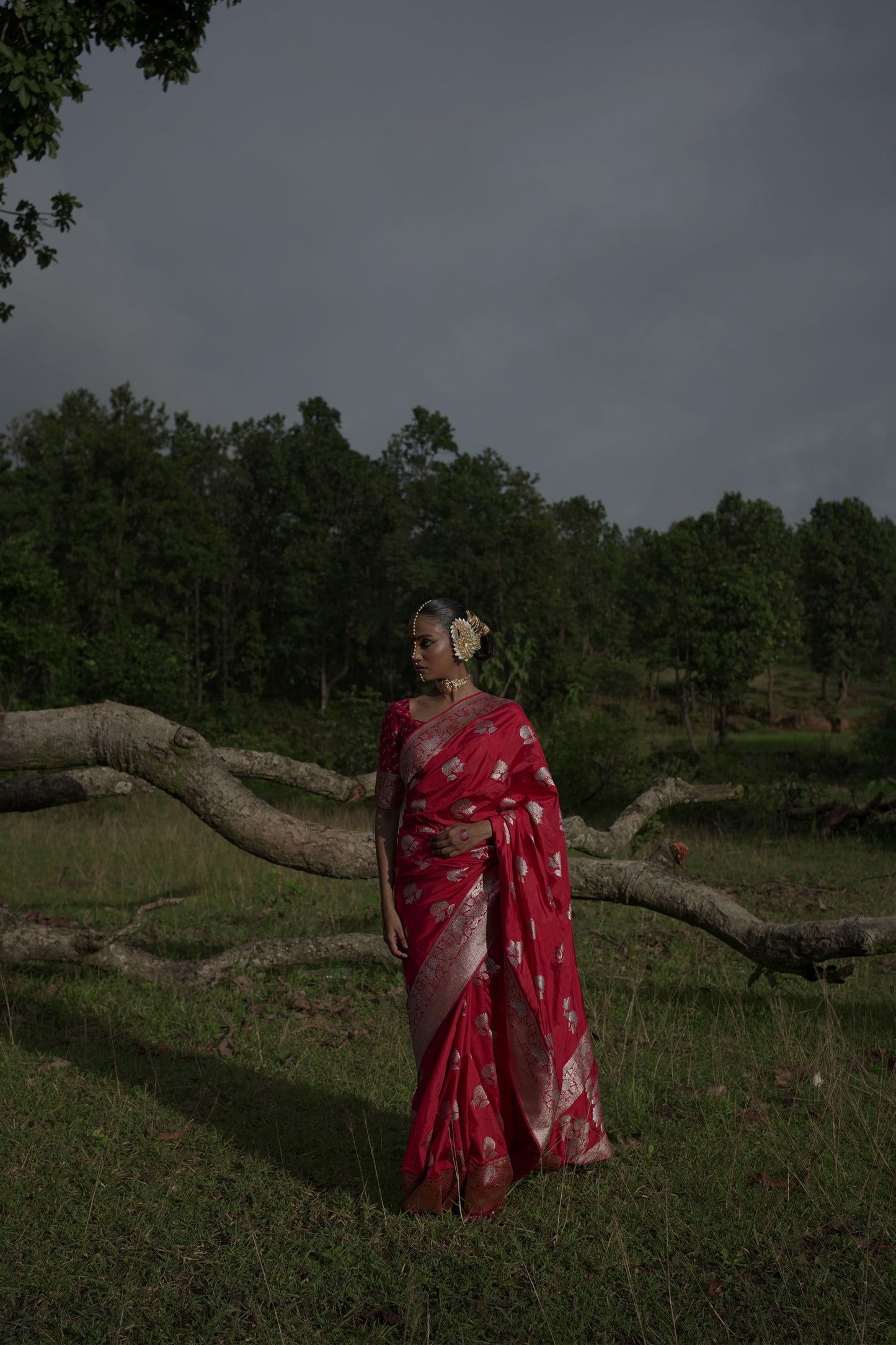 Ranangana saree I Red Katan Silk Banarasi Handloom Saree