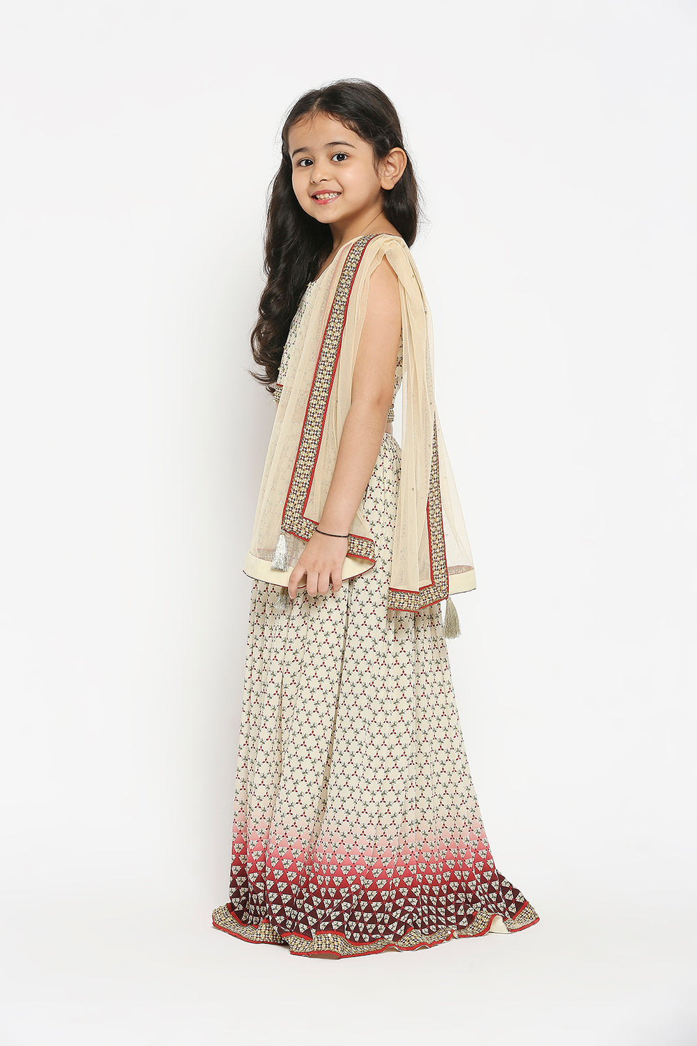 Applique Geometric Printed Lehenga Paired With Crop Top And Net Dupatta