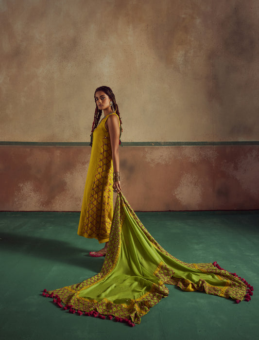 yellow suit set with dupatta Rang