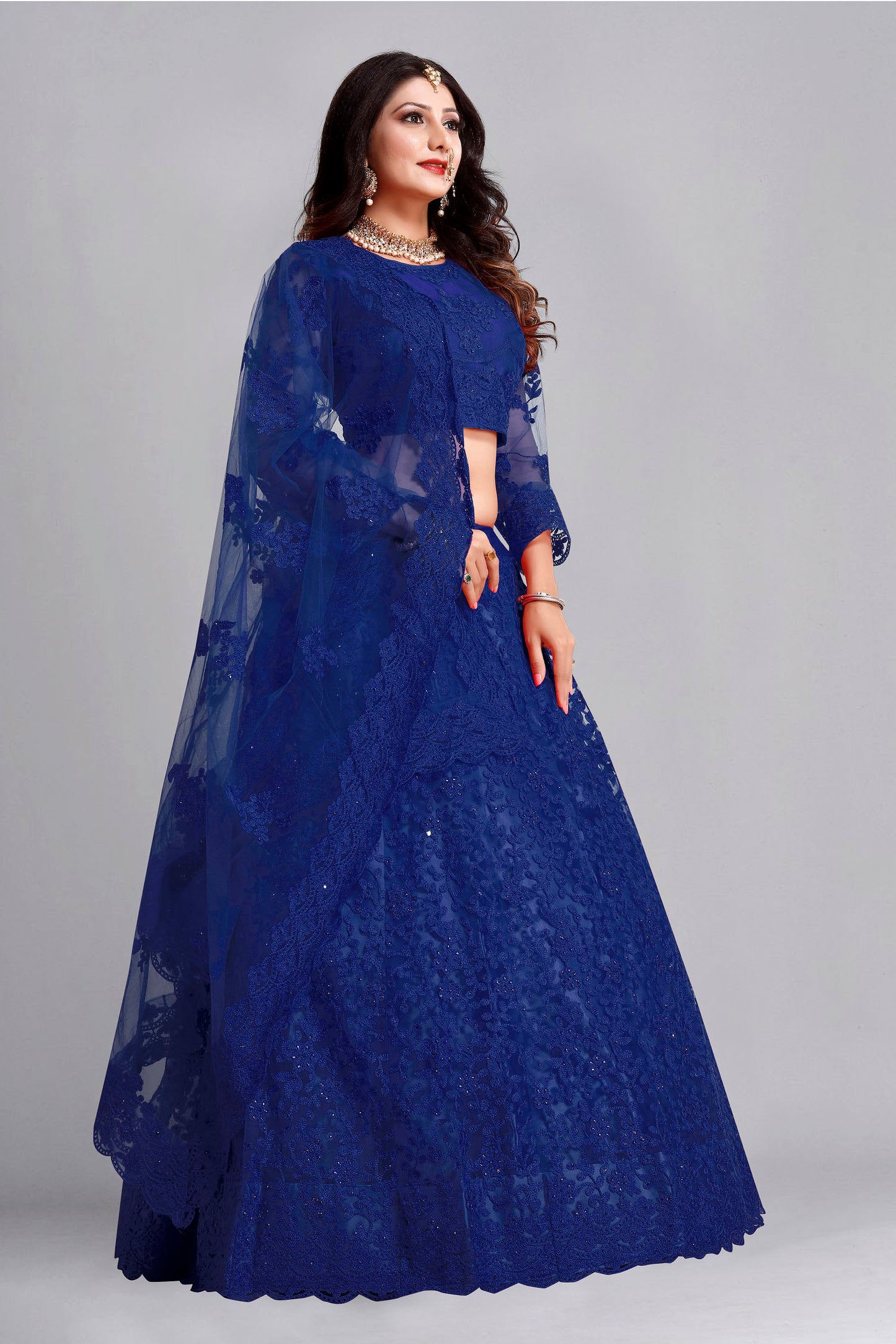 Navy Blue Color Embroidered Net Lehenga