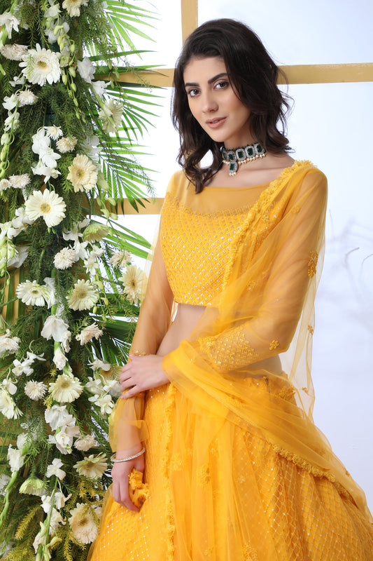 Yellow Net Embroidered Lehenga with Stone Pasting