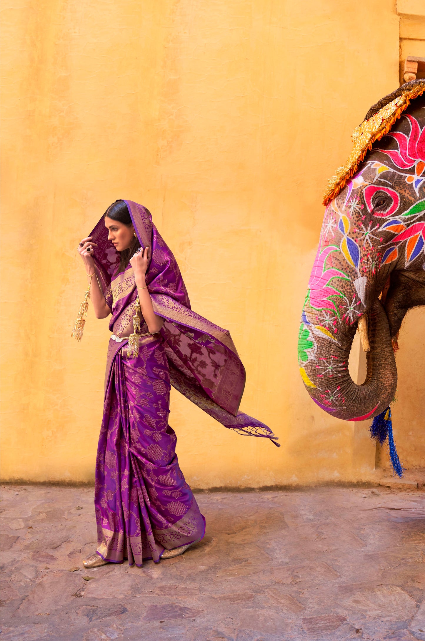 Purple Embellished Banarasi Silk Saree